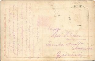 1915 Mehádia, Mehadia; látkép. W.L. Bp. 1504. 1911-14. / Ansicht / general view (EK)