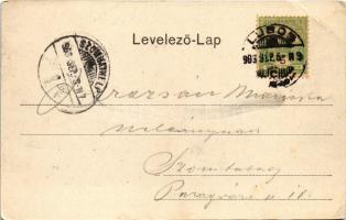 1903 Lugos, Lugoj; Széchenyi utca, Népbank palota, Strasser kávéház, Trajan Jovanescu üzlete. Auspit...