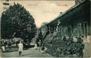 1912 Budapest XVI. Mátyásföld, Laufer nyaraló, szélmalom (EK)
