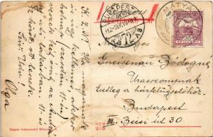 1912 Budapest XVI. Mátyásföld, Laufer nyaraló, szélmalom (EK)