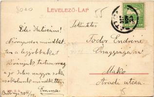 1910 Battonya, Kovácsházi út, Nemzeti szálloda, Fischer Herman üzlete. W.L. 1671. (fa)