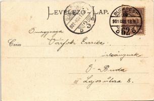 1901 Kismaros, Kis-Maros; utca, Picher János vendéglője. Zoller József kiadása (EB)