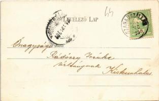 1905 Szabadszállás, látkép. Scheibel Lajos kiadása (apró szakadás / tiny tear)