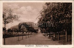 Dunaföldvár, Duna-parti sétány. Somló Manó kiadása (gyűrődés / crease)