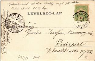 1903 Martonvásár, Brunszvik-Dreher kastély