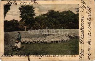 1904 Balaton vidéke, juhnyáj, magyar folklór. D.K.F.E. 899. (EB)