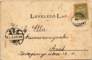 1904 Balaton vidéke, juhnyáj, magyar folklór. D.K.F.E. 899. (EB)