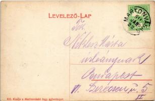 1911 Martonvásár, Községháza