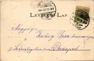 1904 Kecskemét, Nagykőrösi utca, drogueria (drogéria), könyv és papír üzlet és kölcsönkönyvtár