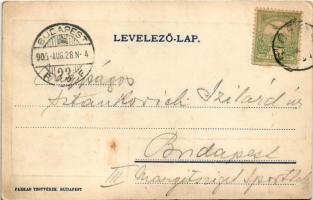 1905 Siófok, fürdőnadrágos fiúk a Balatonnál. Farkas testvérek kiadása (EK)