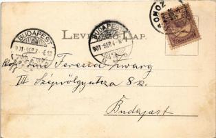 1901 Losonc, Lucenec; Sugár út, Városi Vigadó és szálló / street, redoute hotel (EK)