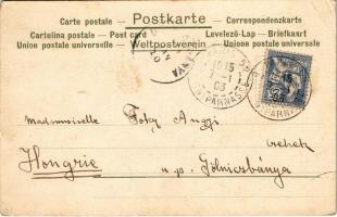 1903 Art Nouveau lady. litho. Unsigned Raphael Kirchner (EK)