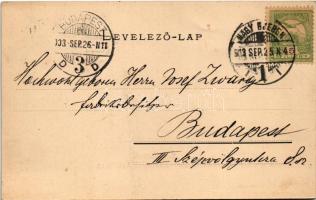 1903 Nagyszeben, Hermannstadt, Sibiu; Gruss aus der Hermannstädter Gewerbe Ausstellung, Maschinenhal...