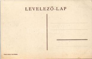 Eperjes, Presov; Görögkatolikus káptalan bérpalotája, Trosztler Kálmán üzlete. Divald Károly fia / p...