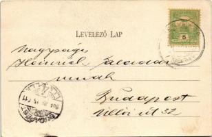 1904 Menyháza, Monyásza, Moneasa; Andrényi villa (EB)