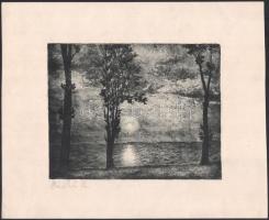 Csikós L. jelzéssel: Vízparti fények a Balatonon. Rézkarc, papír, 15,5x20 cm