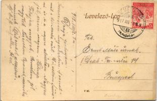 1917 Németújvár, Güssing;