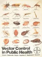 cca 1980 Vector Control in Public Health, Bayer rovarokat, kártevőket ismertető, nagyméretű egészségvédelmi plakátja, műanyag, kopásnyomokkal, 90x65 cm