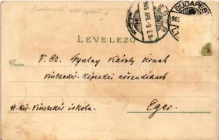 1905 Budapest, Iparcsarnok, Dohány utcai zsinagóga, bejárat az állatkertbe, városligeti szökőkút. Ca...