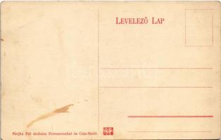 Csízfürdő, Kúpele Cíz; Alitisz lak. Szojka Pál kiadása / villa (fl)