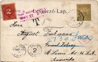 1904 Lesce bei Generalski Stol, Hotel Villa (worn corners)