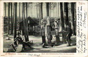 1902 Ótátrafüred, Ó-Tátrafüred, Alt-Schmecks, Stary Smokovec (Magas-Tátra, Vysoké Tatry); Oltvány forrás kirándulókkal. Feitzinger Ede 1902/12. 322 Kr. / mineral water spring with hikers (EK)