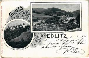 1899 (Vorläufer) Edlitz, Ruine Thomasberg / castle church ruins, general view. Verlag von Alois Pelnitschar. Art Nouveau, floral (EM)