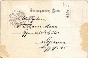 1899 (Vorläufer) Edlitz, Ruine Thomasberg / castle church ruins, general view. Verlag von Alois Peln...