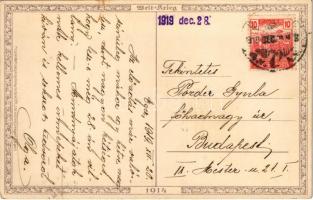 1919 Magyar zászló / Hungarian flag. Welt-Krieg 1914. Meissner & Buch Kriegs-Postkarten Serie 20...