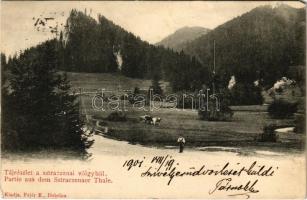 1901 Dobsina, Dobschau; tájrészlet a Sztracenai völgyből. Fejér E. kiadása / Partie aus dem Sztraczenaer Tale / Stratena Valley (EM)