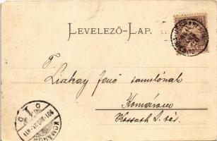 1901 Dobsina, Dobschau; tájrészlet a Sztracenai völgyből. Fejér E. kiadása / Partie aus dem Sztracze...