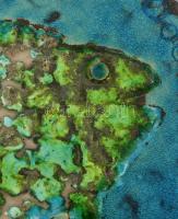 Retró falikerámia, halas díszítménnyel, üveg mázakkal, jelzés nélkül, hibátlan, 17x19 cm