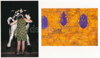 Az élet sója, a művészet borsa - Ludwig Múzeum 30 darabos képeslapsorozata tokban / Essence of Life ...