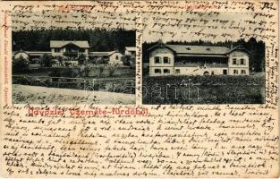 1902 Ceméte, Czeméte-fürdő, Cemjata (Eperjes, Presov); Budapest villa, Debreczen villa. Fénynyomat Divald műintézetéből / villas (fl)