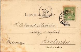 1902 Ceméte, Czeméte-fürdő, Cemjata (Eperjes, Presov); Budapest villa, Debreczen villa. Fénynyomat D...