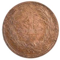1898KB 1f bronz "Magyar Királyi Váltópénz" T:1-,2 patina
Adamo K1