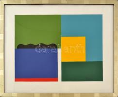 Dévényi János (1956): Fekvő formák. Akril, papír, jelzett, üvegezett keretben 30x40 cm