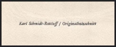 Karl Schmidt-Rottluff (1884-1976): Alfred Brust portréja. Fametszet, papír, jelzés nélkül, megjelent...