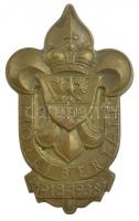 1938. Pro Libertate 1918-1938 bronz cserkészjelvény (46x28mm) T:1-