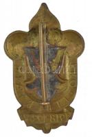 1938. "Pro Libertate 1918-1938" bronz cserkészjelvény (46x28mm) T:1-