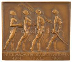 Ligeti Miklós (1871-1944) 1936. "Pesti Magyar Kereskedelmi Bank T.S.E. - 1911-1936" egyoldalas, bronz emlékplakett, hátoldalon "LUDVIG" gyártói jelzéssel (59x69mm) T:1-