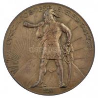 Berán Lajos (1882-1943) ~1930. Országos Testnevelési Tanács ezüsötzött bronz emlékérem eredeti tokban (60mm) T:1-