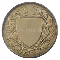 Berán Lajos (1882-1943) ~1930. "Országos Testnevelési Tanács" ezüsötzött bronz emlékérem e...