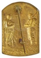 Német Birodalom 1915. "Kárpáti őrség 1914-1915 - Déli Német Hadsereg" bronz lemezjelvény, ...