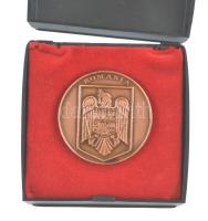 Románia 1990. "Vasile Goldis Egyetem, Arad" kétoldalas bronz emlékérem eredeti, de sérült ...