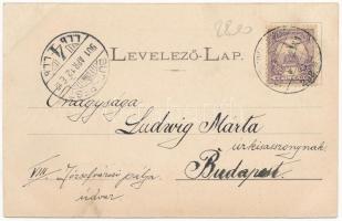 1901 Kolozsvár, Cluj; Fő tér nyugati része, drogueria, Schuster és Kónya Sándor üzlete. Dunky fivére...