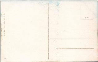 Temesvár, Timisoara; Ferenc József színház, villamos, piac / theatre, tram, market