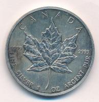 Kanada 1991. 5$ Ag "II. Erzsébet / Juharlevél" (1oz/0.999) T:1-,2 patina, karc
Canada 199...