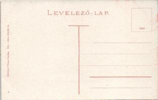 Zsolna, Sillein, Zilina; Új kolónia (Colonia). Schwarcz Vilmos kiadása 1916/20 / new colony