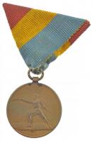 1925. 1925. BSE VI. kétoldalas bronz emlékérem mellszalagon (29mm) T:1- patina / Hungary 1925. 1925. BSE VI. two-sided bronze medallion on ribbon (29mm) C:AU patina